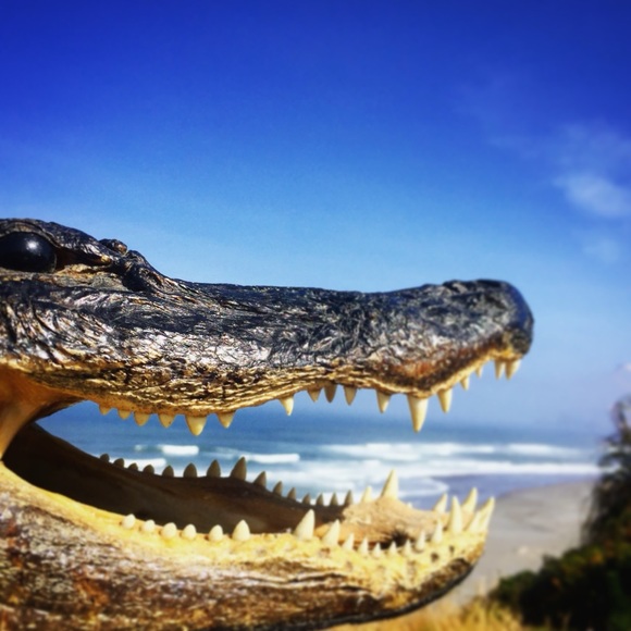 CruuKedEyE - Picture 1 of 6